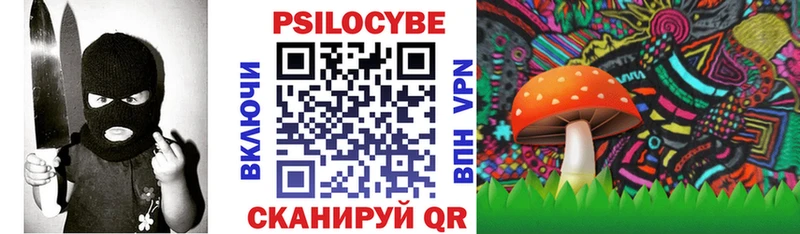 Псилоцибиновые грибы Psilocybine cubensis  Котельники 