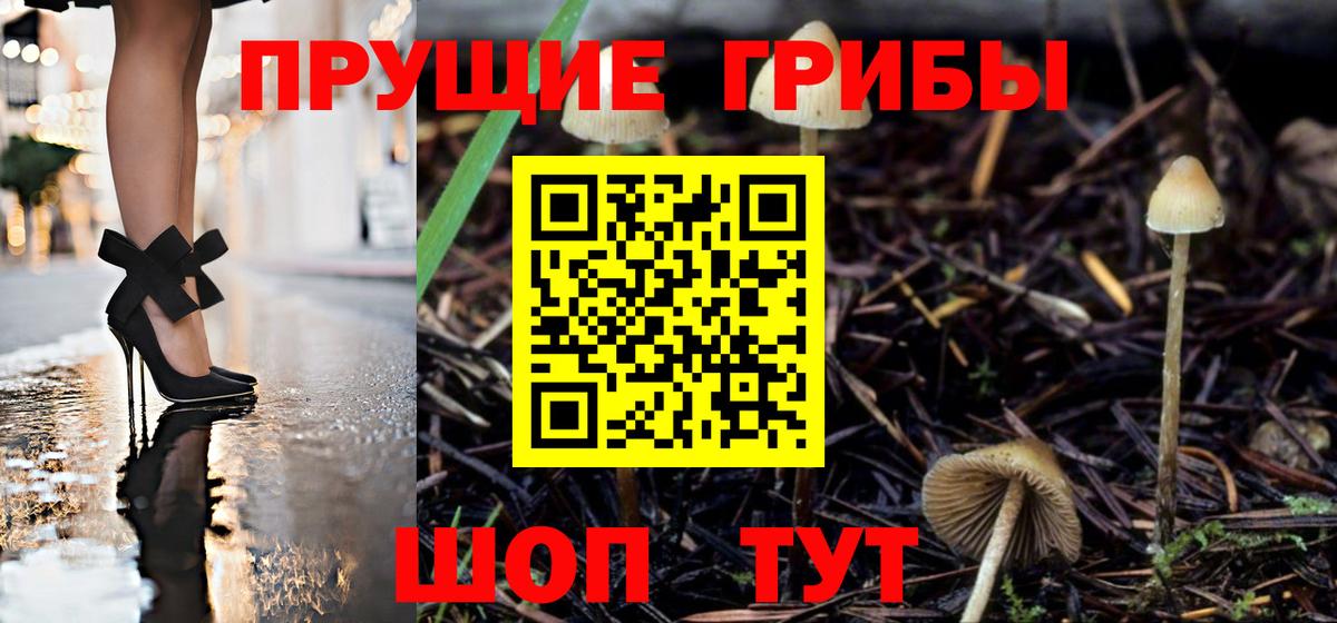 Котельники  Псилоцибиновые грибы мицелий  Вход с VPN 