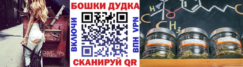 блэк спрут как зайти  Котельники  Канабис семена 